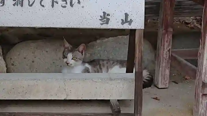 妙雲寺(岐阜県)