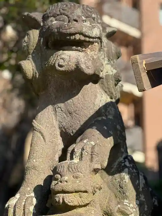 亀有香取神社の狛犬