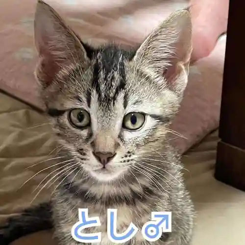 天王山 安楽寺(福井県)