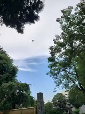 東光寺(東京都)