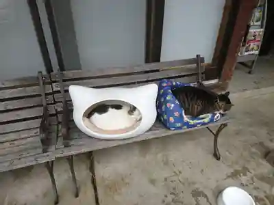 御誕生寺（猫寺）(福井県)