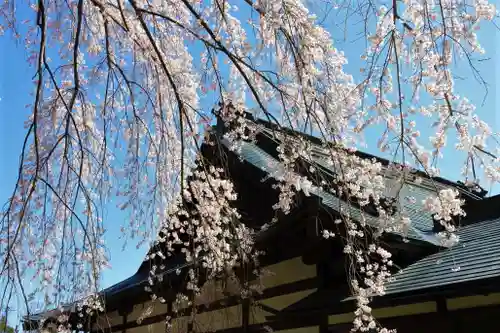 鏡石寺の景色