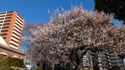 町田天満宮の{uncategorized: "未分類", other: "その他", undefined: "問題あり", building: "その他建物", grave: "お墓", sacred_gate: "鳥居", guardian: "狛犬", statue: "像", buddha: "仏像", history: "歴史", nature: "自然", garden: "庭園", animal: "動物", pagoda: "塔", temizu: "手水舎", mountain_gate: "山門・神門", sanctuary: "本殿・本堂", subordinate: "末社・摂社", art: "芸術", scenery: "景色", jizo: "地蔵", ema: "絵馬", goshuin: "御朱印", omikuji: "おみくじ", items: "授与品その他", amulet: "お守り", goshuincho: "御朱印帳", eats: "食事", festival: "お祭り", votive_dance: "神楽", shichigosan: "七五三参", wedding: "結婚式", experience: "体験その他", initially: "初詣", around: "周辺", anti_infection: "感染症対策"}