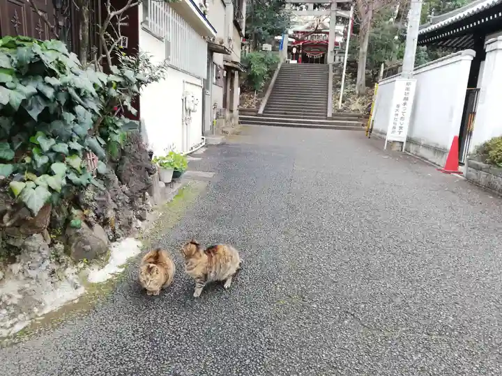 居木神社の動物