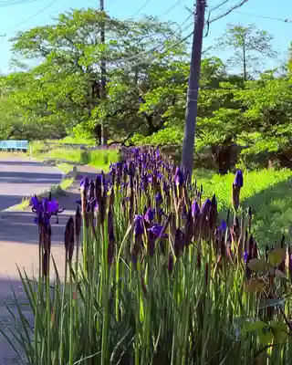 高司神社〜むすびの神の鎮まる社〜(福島県)
