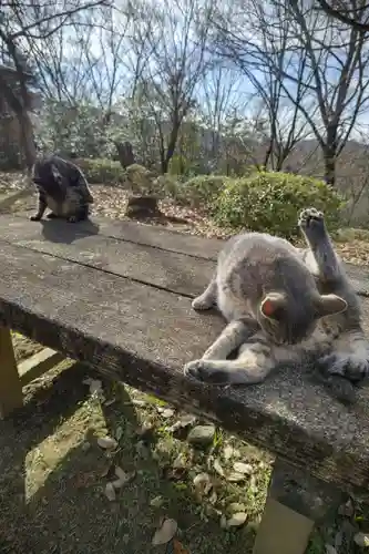 玉野御嶽神社の動物
