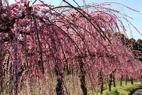 普光寺の庭園