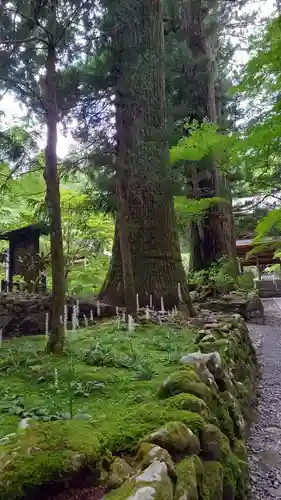 宝積山光前寺(長野県)