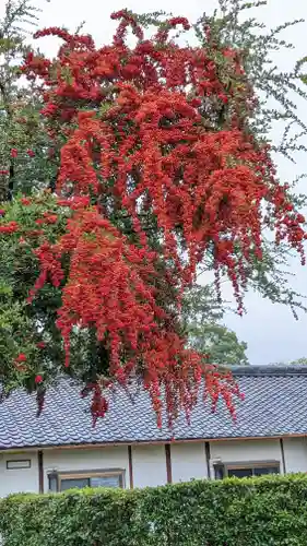 西迎寺(京都府)