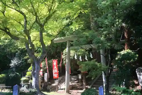 鹿島大神宮の鳥居