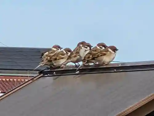 興全寺(神奈川県)