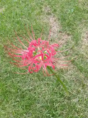 秋月院(神奈川県)