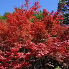 滑川神社 - 仕事と子どもの守り神の自然