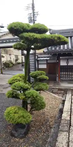 專稱寺（専称寺）の自然