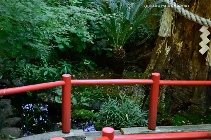 秩父神社の庭園