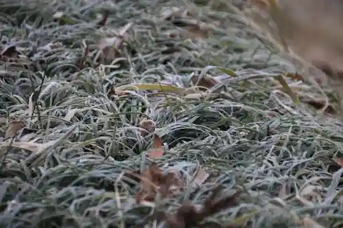 阿久津「田村神社」（郡山市阿久津町）旧社名：伊豆箱根三嶋三社の自然
