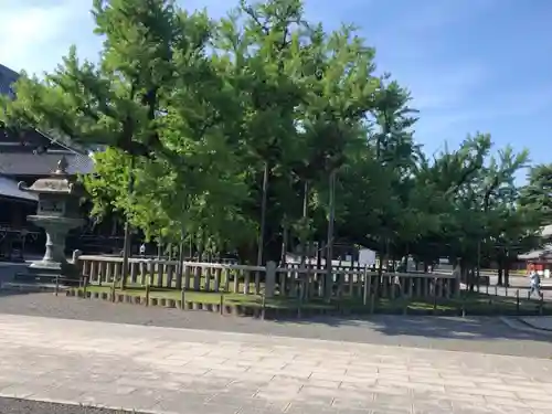 本願寺（西本願寺）(京都府)