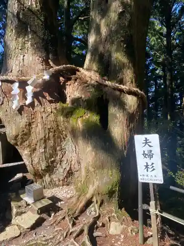 玉置神社(奈良県)