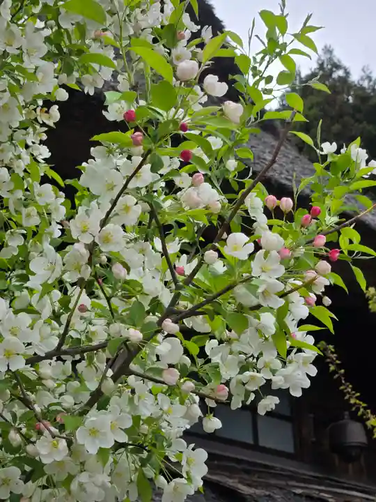 薬明神社(山梨県)