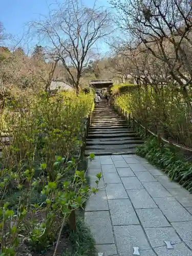 明月院の{uncategorized: "未分類", other: "その他", undefined: "問題あり", building: "その他建物", grave: "お墓", sacred_gate: "鳥居", guardian: "狛犬", statue: "像", buddha: "仏像", history: "歴史", nature: "自然", garden: "庭園", animal: "動物", pagoda: "塔", temizu: "手水舎", mountain_gate: "山門・神門", sanctuary: "本殿・本堂", subordinate: "末社・摂社", art: "芸術", scenery: "景色", jizo: "地蔵", ema: "絵馬", goshuin: "御朱印", omikuji: "おみくじ", items: "授与品その他", amulet: "お守り", goshuincho: "御朱印帳", eats: "食事", festival: "お祭り", votive_dance: "神楽", shichigosan: "七五三参", wedding: "結婚式", experience: "体験その他", initially: "初詣", around: "周辺", anti_infection: "感染症対策"}