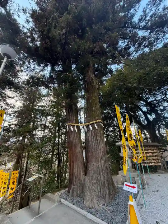 聖神社の{uncategorized: "未分類", other: "その他", undefined: "問題あり", building: "その他建物", grave: "お墓", sacred_gate: "鳥居", guardian: "狛犬", statue: "像", buddha: "仏像", history: "歴史", nature: "自然", garden: "庭園", animal: "動物", pagoda: "塔", temizu: "手水舎", mountain_gate: "山門・神門", sanctuary: "本殿・本堂", subordinate: "末社・摂社", art: "芸術", scenery: "景色", jizo: "地蔵", ema: "絵馬", goshuin: "御朱印", omikuji: "おみくじ", items: "授与品その他", amulet: "お守り", goshuincho: "御朱印帳", eats: "食事", festival: "お祭り", votive_dance: "神楽", shichigosan: "七五三参", wedding: "結婚式", experience: "体験その他", initially: "初詣", around: "周辺", anti_infection: "感染症対策"}