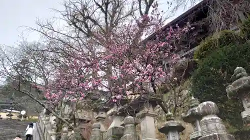 金刀比羅宮(香川県)