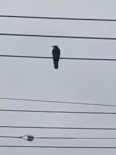五方山熊野神社(東京都)