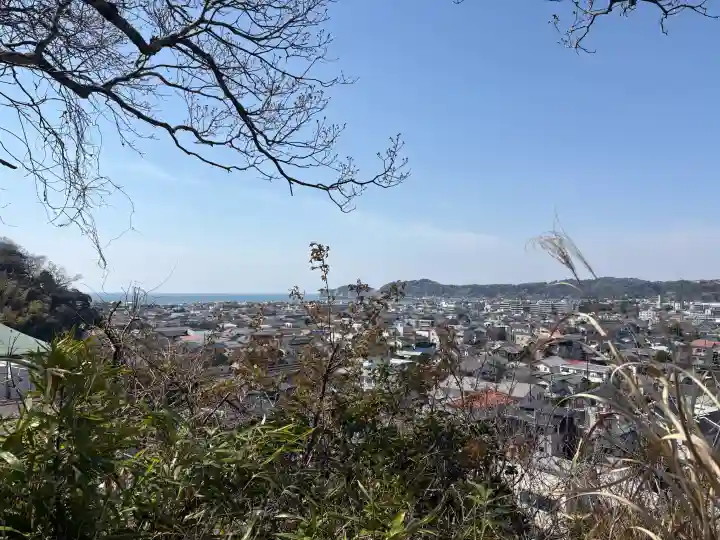 安國論寺(安国論寺)の{uncategorized: "未分類", other: "その他", undefined: "問題あり", building: "その他建物", grave: "お墓", sacred_gate: "鳥居", guardian: "狛犬", statue: "像", buddha: "仏像", history: "歴史", nature: "自然", garden: "庭園", animal: "動物", pagoda: "塔", temizu: "手水舎", mountain_gate: "山門・神門", sanctuary: "本殿・本堂", subordinate: "末社・摂社", art: "芸術", scenery: "景色", jizo: "地蔵", ema: "絵馬", goshuin: "御朱印", omikuji: "おみくじ", items: "授与品その他", amulet: "お守り", goshuincho: "御朱印帳", eats: "食事", festival: "お祭り", votive_dance: "神楽", shichigosan: "七五三参", wedding: "結婚式", experience: "体験その他", initially: "初詣", around: "周辺", anti_infection: "感染症対策"}