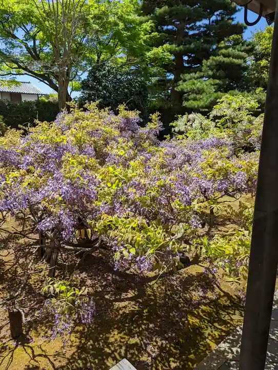 長慶院(京都府)