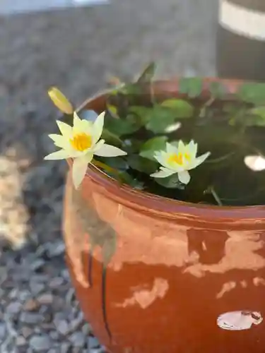 上行寺(静岡県)