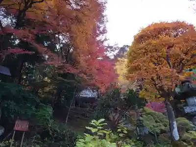 法雲寺(埼玉県)