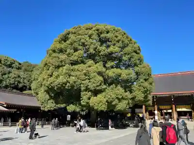 明治神宮(東京都)