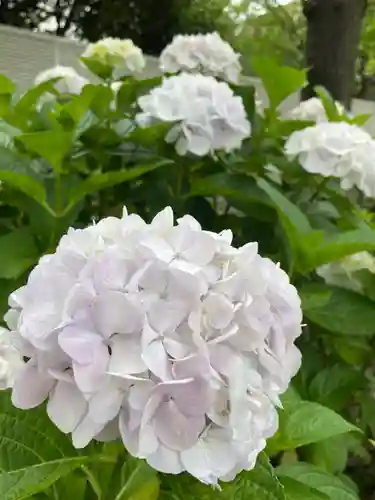 白山神社の自然