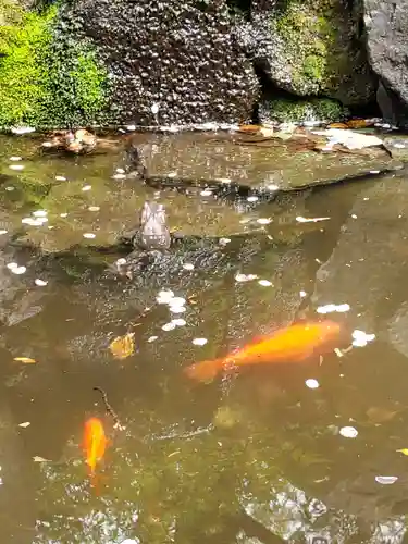 熊野神社(東京都)