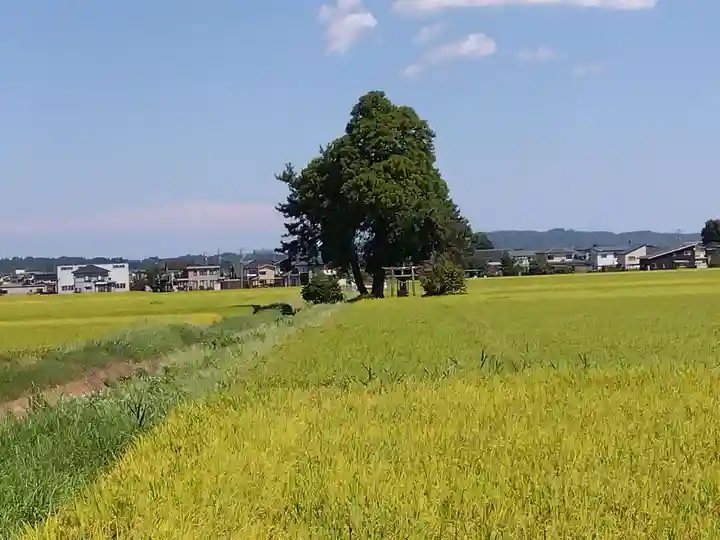 白鳥神社(富山県)
