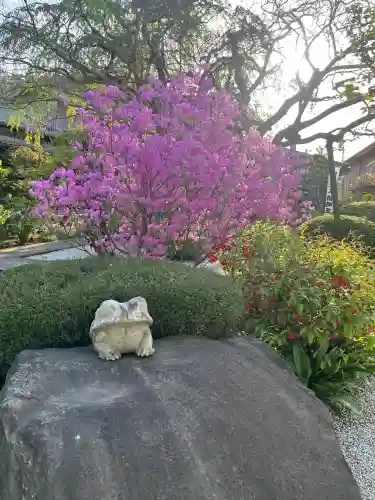 大光寺の{uncategorized: "未分類", other: "その他", undefined: "問題あり", building: "その他建物", grave: "お墓", sacred_gate: "鳥居", guardian: "狛犬", statue: "像", buddha: "仏像", history: "歴史", nature: "自然", garden: "庭園", animal: "動物", pagoda: "塔", temizu: "手水舎", mountain_gate: "山門・神門", sanctuary: "本殿・本堂", subordinate: "末社・摂社", art: "芸術", scenery: "景色", jizo: "地蔵", ema: "絵馬", goshuin: "御朱印", omikuji: "おみくじ", items: "授与品その他", amulet: "お守り", goshuincho: "御朱印帳", eats: "食事", festival: "お祭り", votive_dance: "神楽", shichigosan: "七五三参", wedding: "結婚式", experience: "体験その他", initially: "初詣", around: "周辺", anti_infection: "感染症対策"}