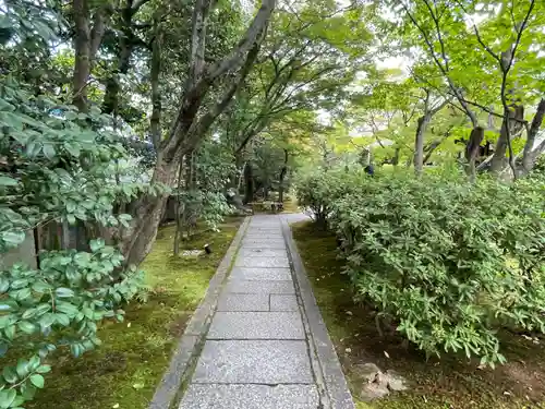 圓徳院(京都府)