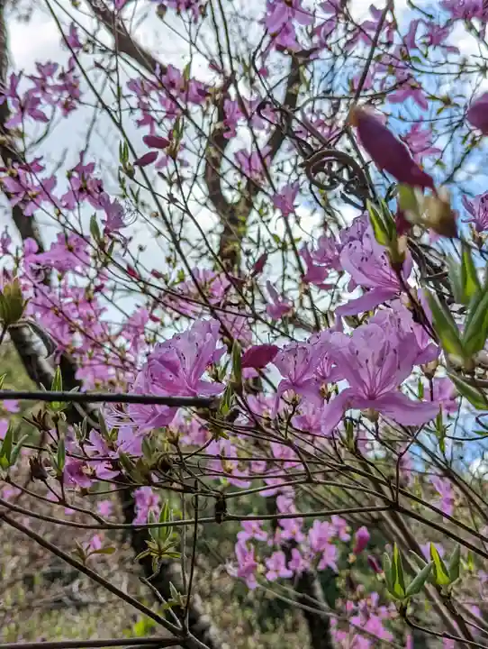 日向大神宮(京都府)