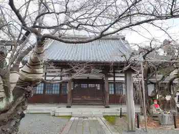 竜谷寺の御朱印 2022年11月