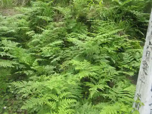 陽向寺(埼玉県)