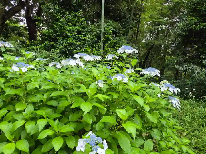 大庭神社(神奈川県)
