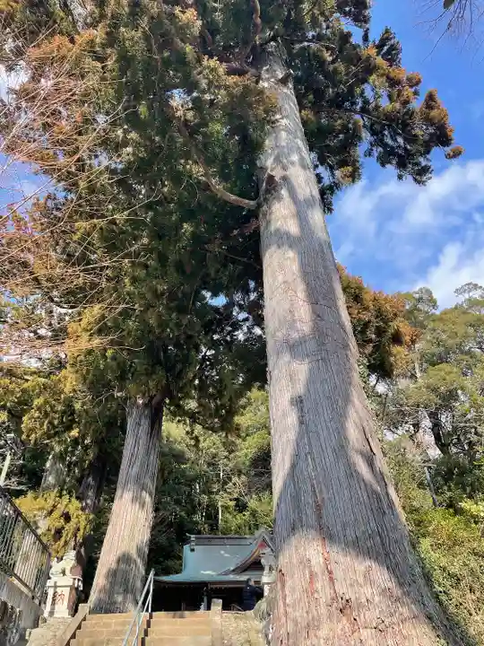 日枝神社(静岡県)