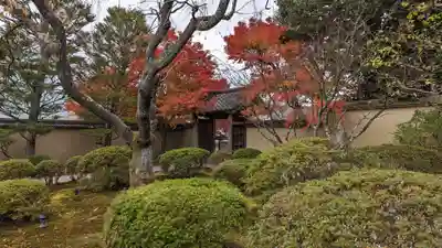 霊源寺(京都府)