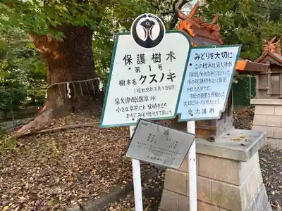 泉穴師神社(大阪府)