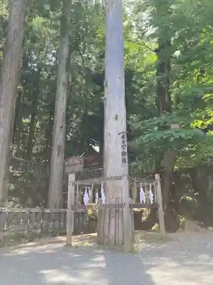 諏訪大社(長野県)