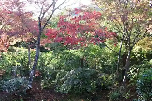 大法院の庭園