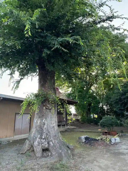 岡登霊神社(群馬県)