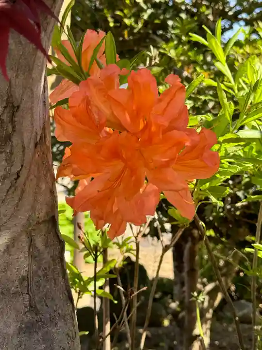 大鏑神社(福島県)
