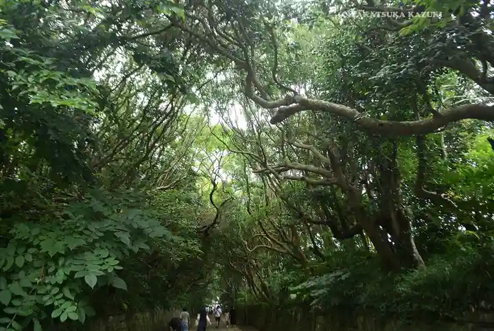 酒列磯前神社(茨城県)