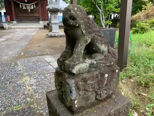 椎名神社の狛犬